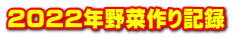 ２０２２年野菜作り記録 